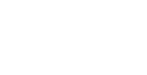 Logo for DPI Security