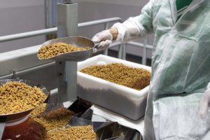 Man scooping food in food processing facility